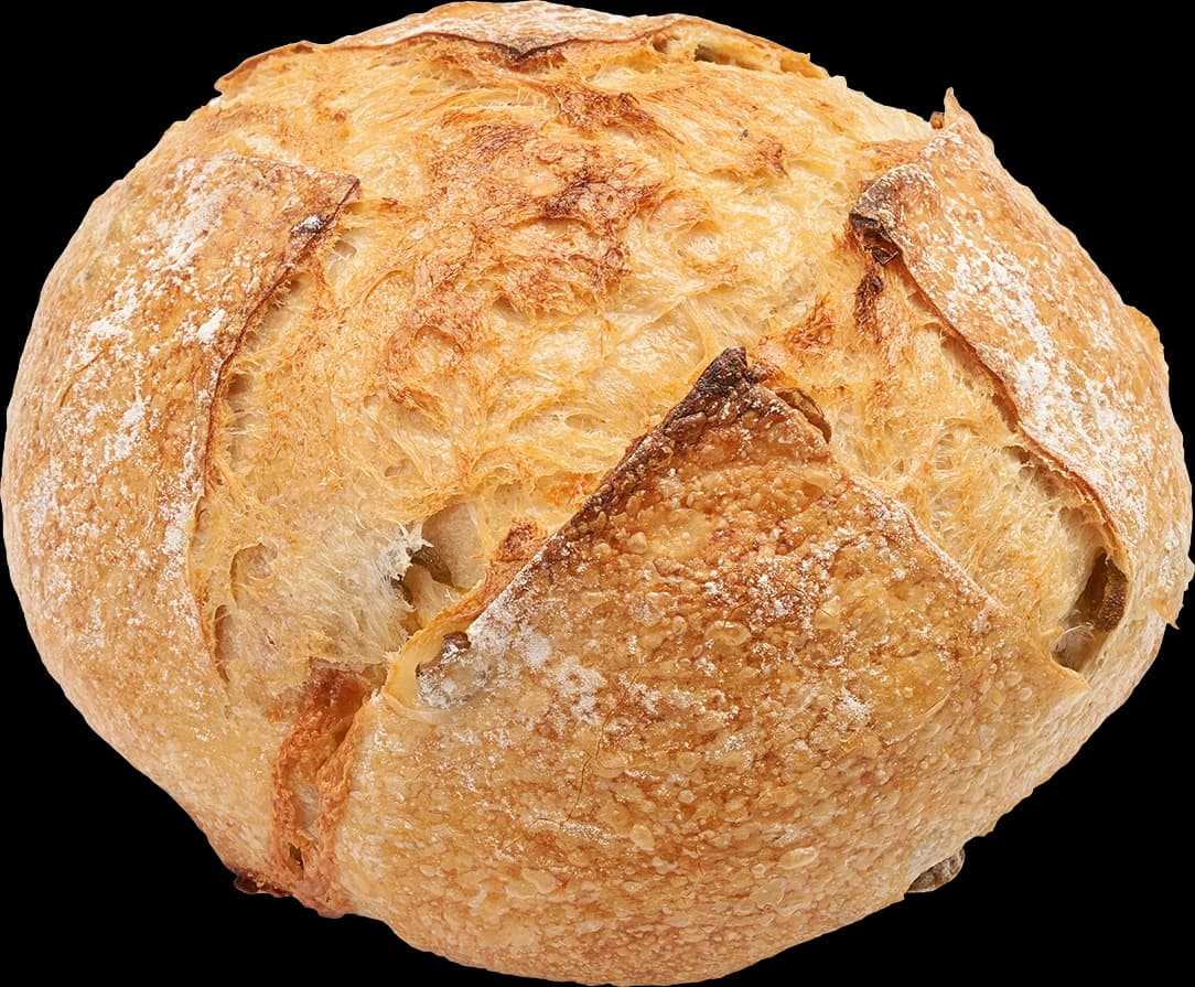 Whole wheat sourdough bread
